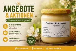 Angebote und Aktionen